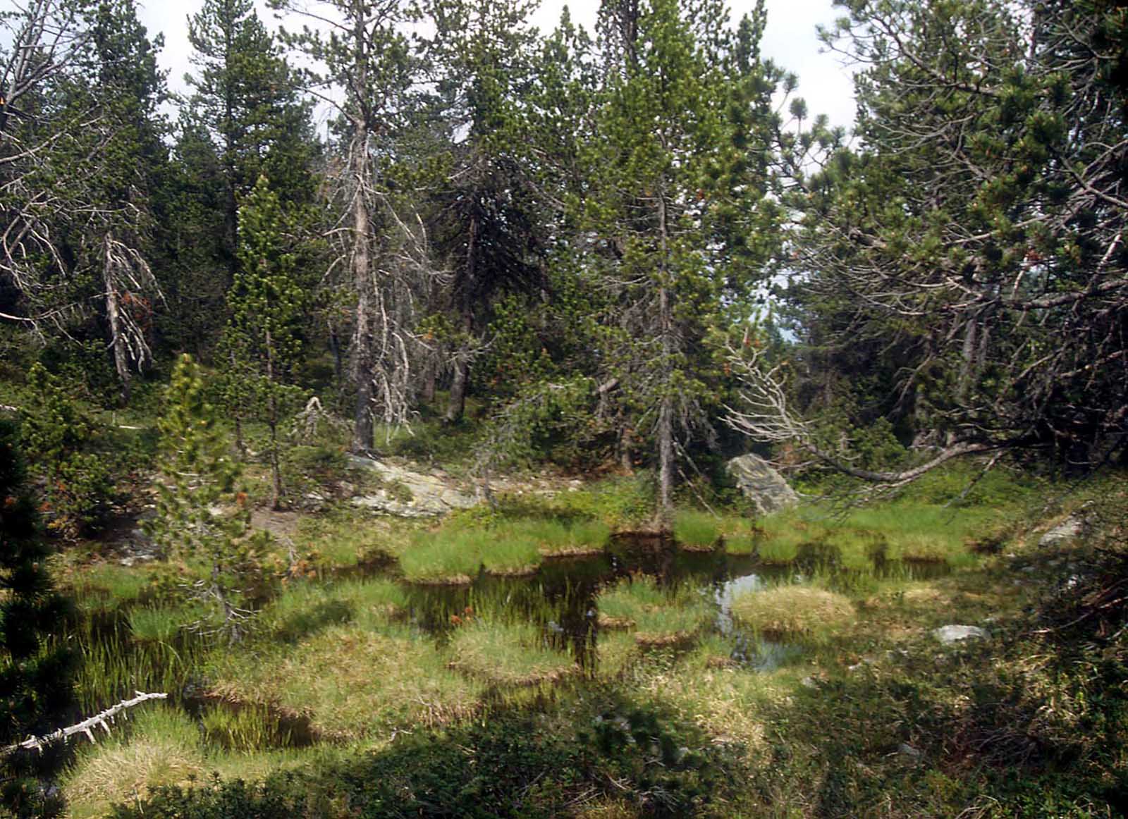 Laghi......della VALLE D''AOSTA